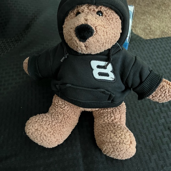 NASCAR # 8 Dale Earnhardt Jr. Stuffed Animal Plush Bear 12” - Picture 4 of 8